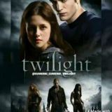 🍃✨🌙 𝐒𝐔𝐌𝐄𝐑𝐊𝐈 ❄️ 𝐓𝐖𝐈𝐋𝐈𝐆𝐇𝐓 💥🍎