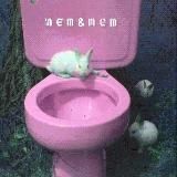 дневники св. Франчески