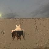 Не в бровь/а в глаз