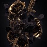 𝐊𝐧𝐢𝐠𝐚𝐬𝐢𝐭𝐚’𝐬 𝐁𝐨𝐨𝐤𝐬𝐡𝐞𝐥𝐟