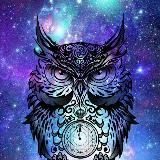 Магия вселенной. Нумерология