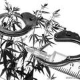 Б͜͡А͜͡З͜͡А͜͡Р͜͡ Е͜͡А͜͡О͜͡ (͜͡К͜͡У͜͡Р͜͡И͜͡Л͜͡О͜͡Ч͜͡К͜͡А͜͡)͜͡