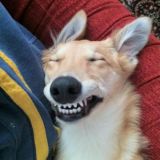 Ох*еть можно 🤪