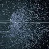 Эхолокация | Наука