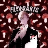 ˖ ࣪ ‹ 𝘍𝘭𝘺𝘢𝘨𝘢𝘳𝘪𝘤 𖥔 🍄