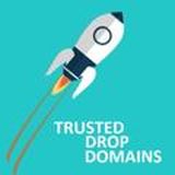 Трастовые Дроп Домены