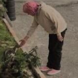 нищенка афеум