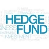 Хедж-фонд Hedge Fund Хеджирование от девальвации