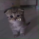 Порно Brawl Stars ❤️🔥