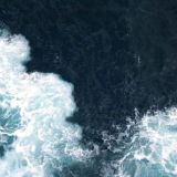 Közimnin qaraşağı