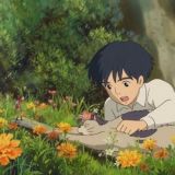 волшебный домик