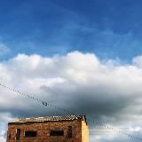 Психологию в мир