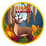 Ямал. Важное!