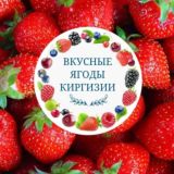ВКУСНЫЕ ЯГОДЫ КИРГИЗИИ🇰🇬 Казань📍