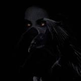 •МНОГОЛИКАЯ