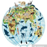 Работа в Польше | Сладкие Вакансии