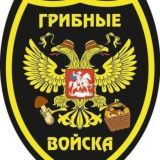 Работа с подсознанием.Мухоморный трип Новосибирск.Камбо церемонии Ситтеры.