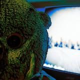 ೀ🧣 ₊ 🌅 𝐏𝐞𝐭𝐞𝐫𝐁𝐚𝐬™°🎉໒꒰ ❄️ .