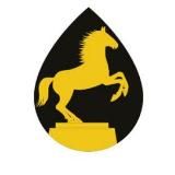 Мы Татнефть — Нурлат