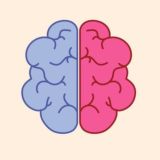 Чат нормальности