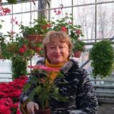 Рукавишникова О.Н.