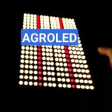 AGROLED💥