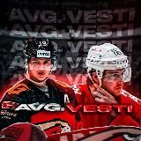 AVG.VESTI