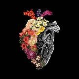 𝐒𝐄𝐑𝐃𝐂𝐄 🫀