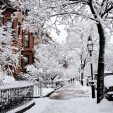 Красивый Иран (чат)