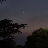 вишневый сад