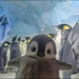 🖤 𝓥𝓨-𝓶𝓾𝓼𝓲𝓬🖤