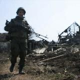 Бродяга серых зон