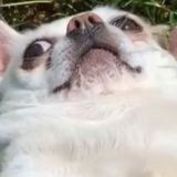 Гуртожиток КНЕУ #6🔝