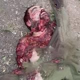 💰Успех с нами 💰