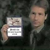 спиздив шось