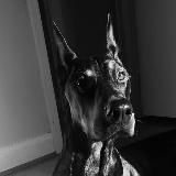 🖤 M U S I C | МУЗЫКА 2022 | ЛУЧШИЕ РЕМИКСЫ 🖤