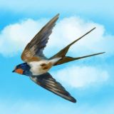 🌸ЛАСТОЧКА ЧАТ🌸