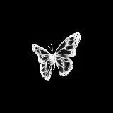 𝐌𝐮𝐬𝐢𝐜 𝐬𝐥𝐨𝐰𝐞𝐝