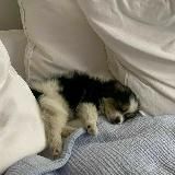 ᴍʏ ᴅɪᴀʀʏ💭