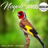 🥇Noyob🥇SaYroQi QuWLaR....