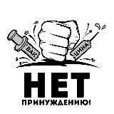 Жизнь Республики
