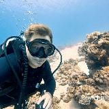 Дайвинг и морская жизнь 🐡