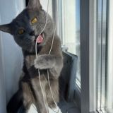 🖤Здравствуй, дорогой дневник…