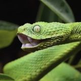 КАША С МАСЛОМ