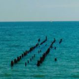 Адепт цинизма