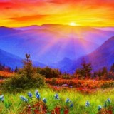 ꧁WⒶllpⒶpers and NⒶture꧂