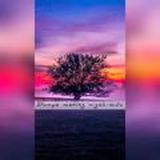 Dᴜɴʏᴏ ᴍᴇɴɪɴɢ ɴɪɢᴏʜɪᴍᴅᴀ ᴖ💚✨⋮