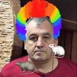 ❗️ Коллаборанты Покровска/Мирнограда