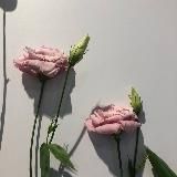 дневник | ʀᴀ.