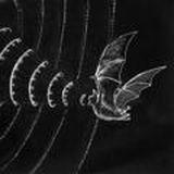 Fuad Nasirov (audio books)